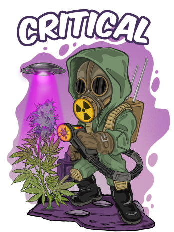 JOINT GROW - CRITICAL